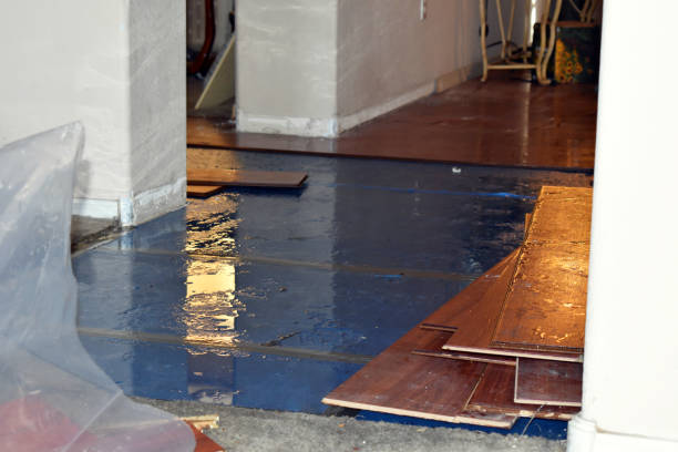 Professional Water Damage Restoration technician working in Washington, IL